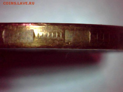  ГРИБ ? - 0207_1