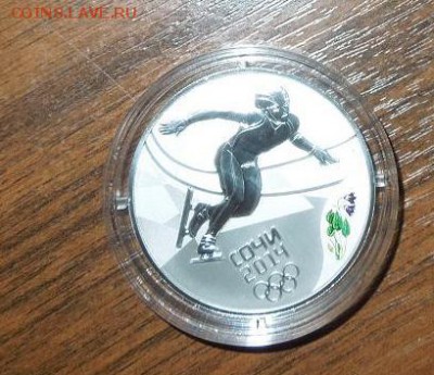 3 рубля Шорт-трек до 11.02.2016 22.00 - DSCN0247