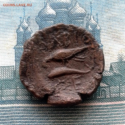 Ольвия, обол,  180-170гг до н.э., до 12.02.16г - 20160121_123626