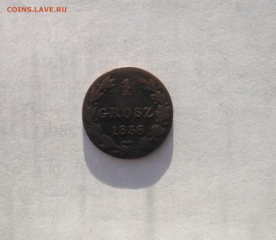 1 грош 1838 MW  русско-польские 07.02. 22:00 - P1030239.JPG