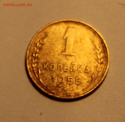 1,5 коп 1955 до 11.02 - 1955а