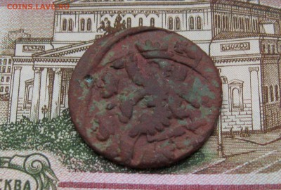 Деньга 1737г. Брак-"Орёл трёхголвый" - IMG_8083.JPG