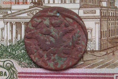 Деньга 1737г. Брак-"Орёл трёхголвый" - IMG_8081.JPG