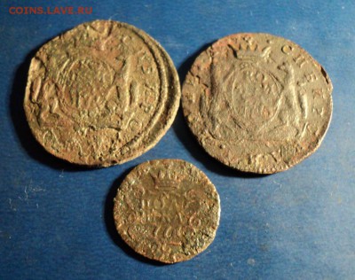 3 уставшие Сибирки. До 13.02.16г. 22-00Мск - DSC05058.JPG