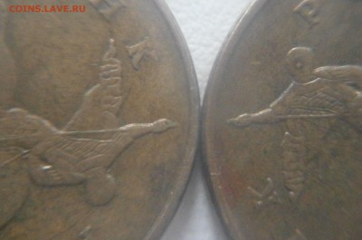 Вопросы по разновидностям от Васек71 - P2071586.JPG