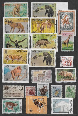 Марки мира. Фауна - Марки мира. Фауна