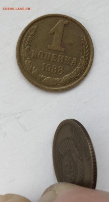 Монета 1 коп. СССР проблема с реверсом - IMG_0845.JPG