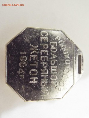 Выставка охотничьего собаководства - DSCF2170 (Копировать).JPG