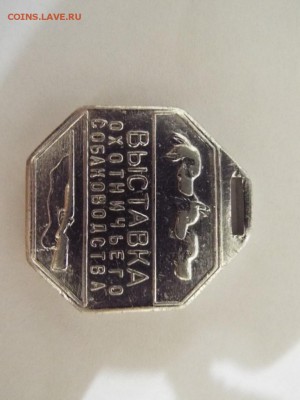 Выставка охотничьего собаководства - DSCF2175 (Копировать).JPG