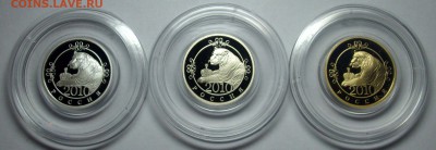 Год Тигра 2010 год ММД - BKDC3686.JPG