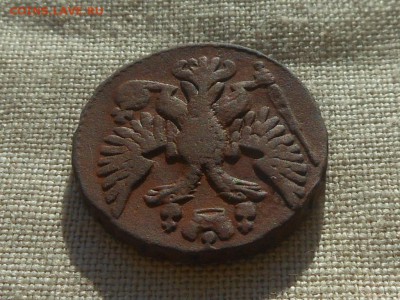 денга 1749 Хорошая до 14.02.2016 в 22-00 МСК - RSCN5579.JPG