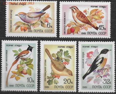 СССР 1981. Птицы * - 1981-594