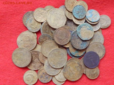 Желтки 64 штуки на опыты - RSCN0659[1].JPG
