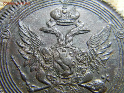 кольцевик 5 коп 1806 ем красивый. до 12.02 в 22.30 - Изображение 115