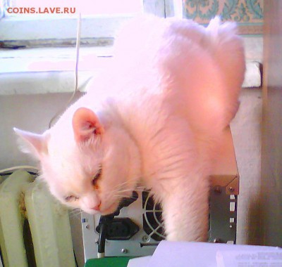 В маленькой, Богом забытой деревушке... - Безымянный.JPG