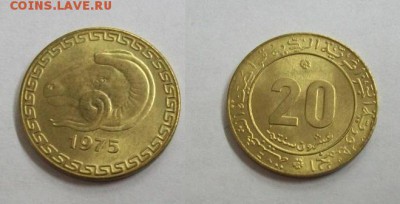 FAO Алжир 20 сантим 1975 ФАО UNC - 100_4796