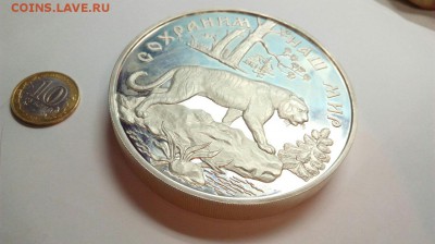 Килограмовая монета 100р 1994 Амурский тигр до 15.02.16 - b_YH6D7d9Bs