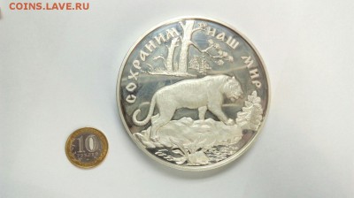 Килограмовая монета 100р 1994 Амурский тигр до 15.02.16 - IZadtDJ5upw