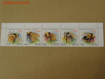2005, Сцепка, шмель, чист. - DSC08916.JPG