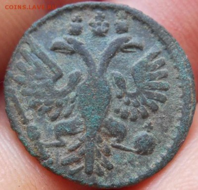 полушка 1734 г. разновид № 39 А одноштемпельная - DSCN4273.JPG
