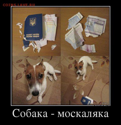 События на Украине. - J6haUvanNO0
