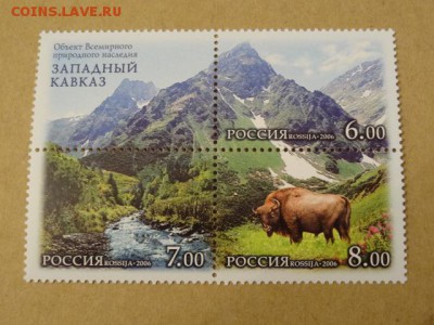 2006, Сцепка, Западный Кавказ, чист. - DSC08932.JPG