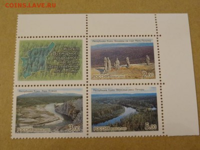 2003, Сцепка, Девственные леса Коми, чист. - DSC08941.JPG