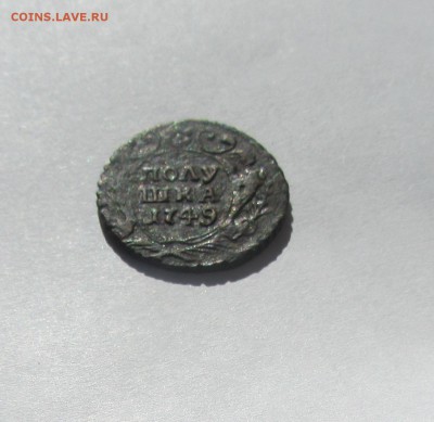 денга 1769, полушка 1749 - IMG_3105.JPG