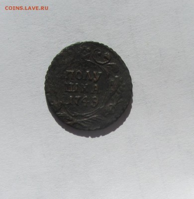 денга 1769, полушка 1749 - IMG_3104.JPG
