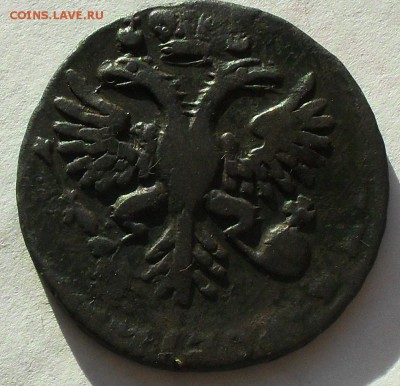 деньга 1731 - SDC15006.JPG