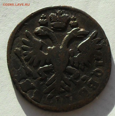 деньга 1731 - SDC15004.JPG