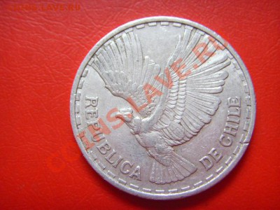 Чили 1 чентезимо 1963 Кондор до 14.10 в 21.00 М - LPIC8966.JPG