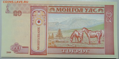 МОНГОЛИЯ - 20 тугриков 2009 г. пресс до 19.02 в 17.30 - DSCN2913.JPG