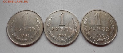Оцените годовики. - DSCN6368.JPG