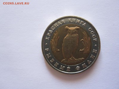5 рублей Рыбный филин 1991 15.02 22:00 - IMG_7979.JPG