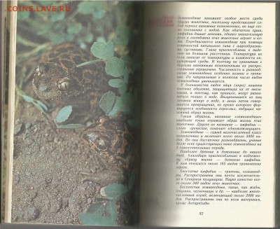 Рыбы, Амфибии,Рептилии красной книги СССР , 21.00 мск 19.02 - Рыбы, Амфибии,Рептилии красной книги СССР-5