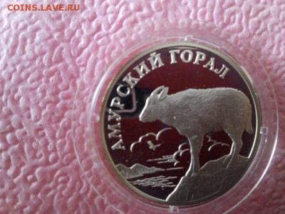 монета 3 - 20160208093705