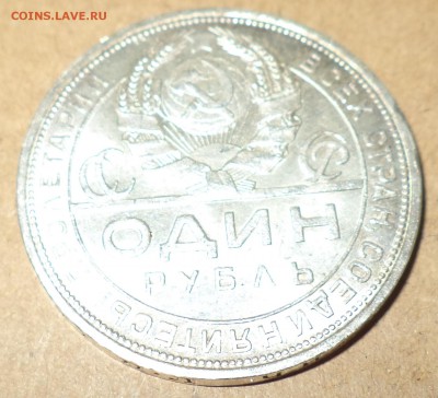 со вспышкой! - DSC05570.JPG