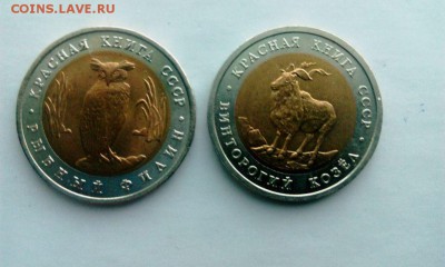 КК 1991 Филин и Козел.До 14.02.16. в 22-20 - IMG_20160213_154651