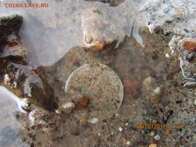Нахождение несовременных монет без металлоискателя:) - IMG_0630_1500x1125