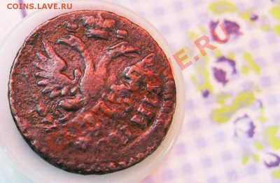 8 монет-ДЕНГи 1730-1731гг. Вопрос:все перечеканы или не все? - 1-2