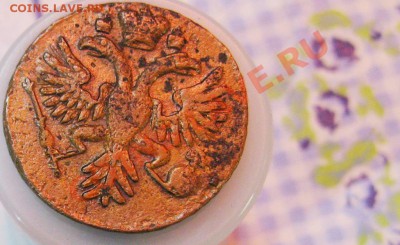 8 монет-ДЕНГи 1730-1731гг. Вопрос:все перечеканы или не все? - 2-2
