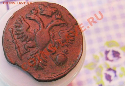 8 монет-ДЕНГи 1730-1731гг. Вопрос:все перечеканы или не все? - 4-2