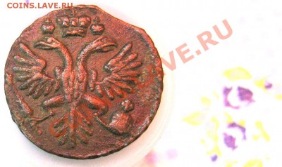8 монет-ДЕНГи 1730-1731гг. Вопрос:все перечеканы или не все? - 5-2
