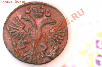8 монет-ДЕНГи 1730-1731гг. Вопрос:все перечеканы или не все? - 6-2