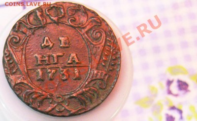 8 монет-ДЕНГи 1730-1731гг. Вопрос:все перечеканы или не все? - 7-1