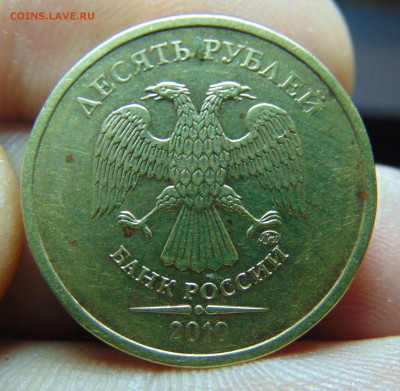 10 р. 2009 и 2010 г. Определение - DSC00765.JPG