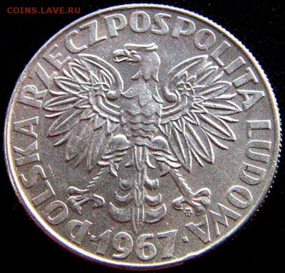 Польша_памятные 10 злотых 1967 "Мария Кюри"; до 14.02_22.24м - 10331