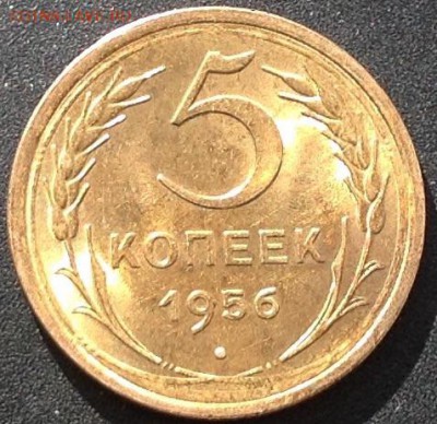 5 коп 1956 г - image