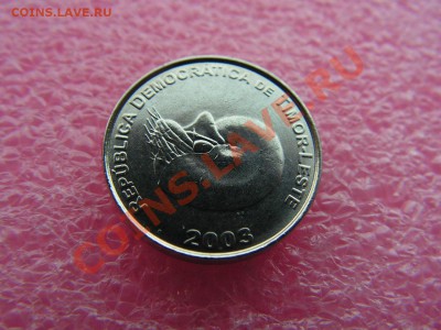 -Тимор- 1 сентаво 2003 (фауна) -- 14 октября 22-00 - т 70.JPG